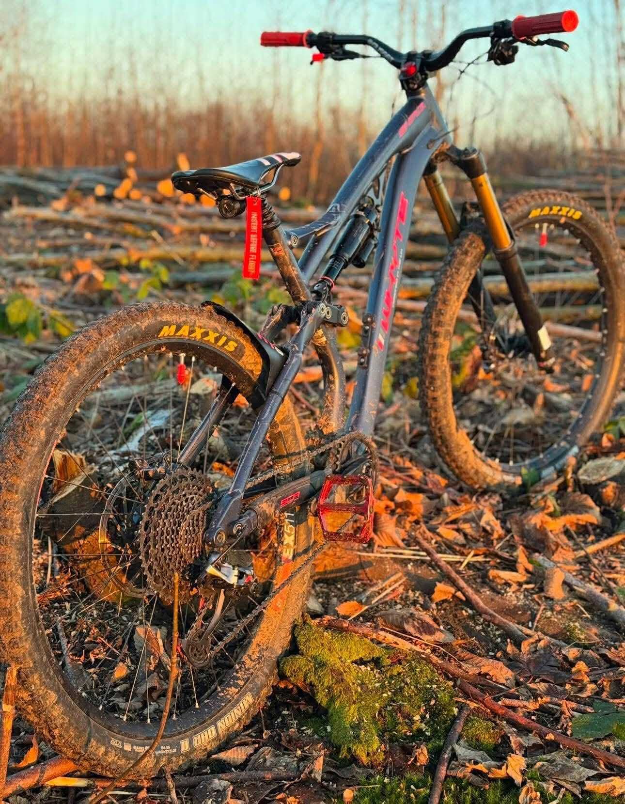 Whyte Full Suspension Mountain Bike