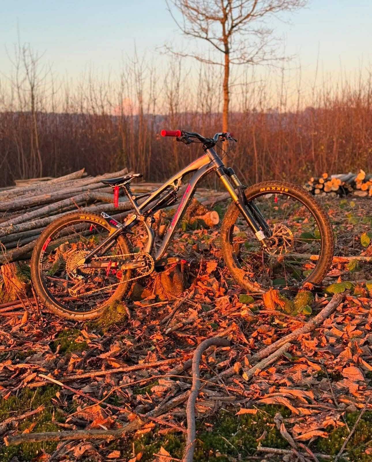 Whyte Full Suspension Mountain Bike